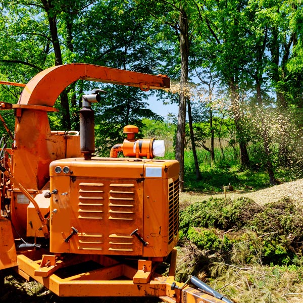 Tree Chipping & Pruning Foothill Sierra Tree Service